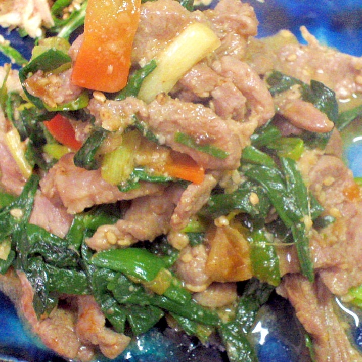 期間限定!葉たまねぎとラム肉の甘辛味噌炒め